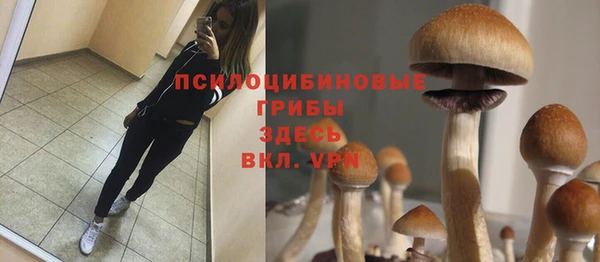 a pvp Вяземский