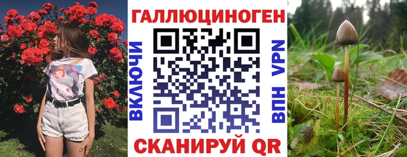 Галлюциногенные грибы MAGIC MUSHROOMS kraken как войти Дигора